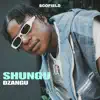 Shungu Dzangu - Single album lyrics, reviews, download