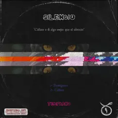 Silencio - Single by Temprano album reviews, ratings, credits