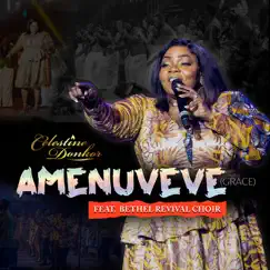 Amenuveve (Grace) - Single [feat. Bethel Revival Choir] - Single by Celestine Donkor album reviews, ratings, credits