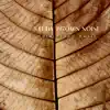Study Brown Noise & Rain (Piano Music) album lyrics, reviews, download