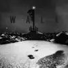 WALK (feat. Tizzy Fields) - Single album lyrics, reviews, download