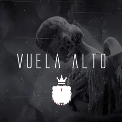 Vuela Alto - Single by S h Z BEATZ album reviews, ratings, credits