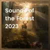 Sounds of the Forest 2023 album lyrics, reviews, download