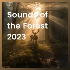 Sounds of the Forest 2023 by Forest Sounds Channel album reviews, ratings, credits