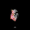 Addicted / Gumbody - Single album lyrics, reviews, download