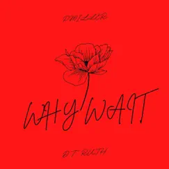 Why Wait - Single by D.T. Ruth & Pmiller album reviews, ratings, credits