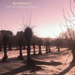 Ambient I - EP by The Sensorial Room album reviews, ratings, credits