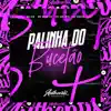 Palhinha do Bucetão (feat. MC Rafa 22) song lyrics