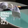 Strings Piano and Spa, Vol. 3 album lyrics, reviews, download