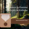 Atmosfera da Floresta Sonolenta da Kalimba album lyrics, reviews, download