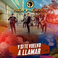 Y si te vuelvo a llamar - Single by Son de Oro album reviews, ratings, credits