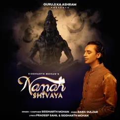 Namah Shivaya (feat. Bawa Gulzar) Song Lyrics