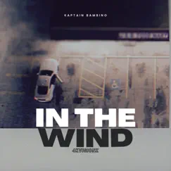 In the Wind - Single by Kaptain Bambino album reviews, ratings, credits