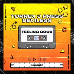 Feeling Good - Single by Torrex, J. Press & Dj Deviless album reviews, ratings, credits