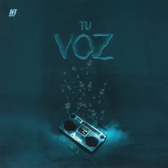 Tu Voz (feat. N7music) - Single by DreamSMusic album reviews, ratings, credits