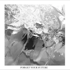 Forget Your Future Song Lyrics