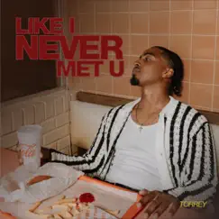 Like I Never Met U (feat. Torrey) [Losis Remix] Song Lyrics