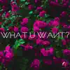 What U Want? (feat. Danté James) - Single album lyrics, reviews, download