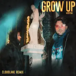 Grow Up (Cloudlane Remix) Song Lyrics