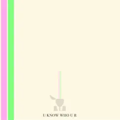 U Know Who U R - Single by Daniel Leggs album reviews, ratings, credits