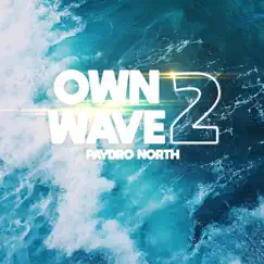 Own Wave, Vol. 2 - EP by PayDroNorth album reviews, ratings, credits