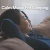 Calm Music for Sleeping album lyrics, reviews, download
