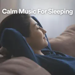 Calm Music for Sleeping by Meditation Zen, Ambient Music & Calm Music For Sleeping album reviews, ratings, credits