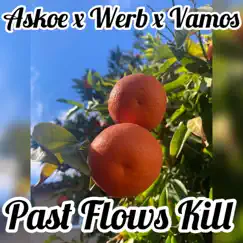 Past Flows Kill (feat. Werb & Vamos) Song Lyrics