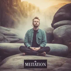 Meitation - Single by Miracle Brain album reviews, ratings, credits