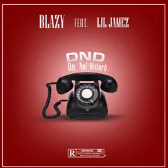DND(Speedup) [feat. Lil Jamez] - Single by Blazy album reviews, ratings, credits