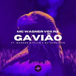 Gavião (feat. Marcos Myller & DJ Jhonatan) Song Lyrics