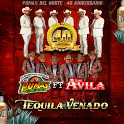 Tequila Venado (feat. Los Avila) - Single by Los Pumas del Norte album reviews, ratings, credits