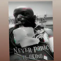 Never Panic (feat. Ok.Oso) Song Lyrics