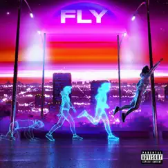 Fly - Single by Turban Rapper album reviews, ratings, credits