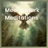 Meadowlark Meditations album lyrics, reviews, download