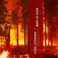 Beats of Doom / Parabolic Forest by Acephali & Thomas Delisle album reviews, ratings, credits