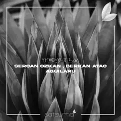 Tequila - Single by Sercan Ozkan, Berkan Ataç & Aguilaru album reviews, ratings, credits