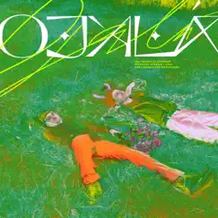 Ojalá - Single by Defensa & Evar album reviews, ratings, credits