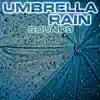 Umbrella Rain Sounds (feat. Nature Sounds Explorer, OurPlanet Soundscapes, Paramount White Noise, White Noise Plus & White Noise TM) song lyrics