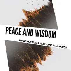 Peace and Wisdom - Music for Inner Peace and Relaxation by Hridya Chintan, Jeb Ash & Healed Terra album reviews, ratings, credits