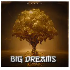CBT ivo (Big Dreams) Song Lyrics