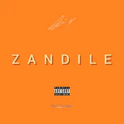 Zandile - Single by Gani-Y album reviews, ratings, credits