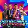 Patricinha de Condominio (feat. Mc Dobella) - Single album lyrics, reviews, download