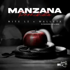 Manzana Prohibida (feat. Walleta el Ingeniero de la rima) - Single by Mite Lz album reviews, ratings, credits
