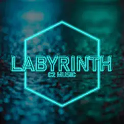 Labyrinth (feat. Negative) - EP by C2 Music album reviews, ratings, credits