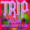 TRIP - Single album lyrics, reviews, download