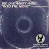 Into the Night (The Complete Remixes) [Big D vs. Harry Hard] album lyrics, reviews, download