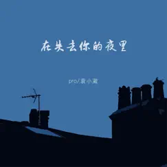 在失去你的夜里 Song Lyrics