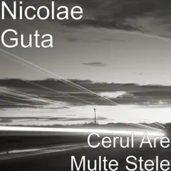 Cerul Are Multe Stele - Single by Nicolae Guță album reviews, ratings, credits
