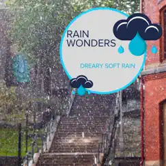 Rain Wonders - Dreary Soft Rain by Rain Recordings & Everyday Rain Stories album reviews, ratings, credits